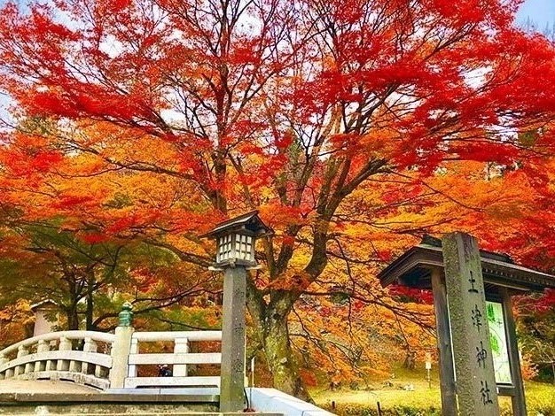 土津神社